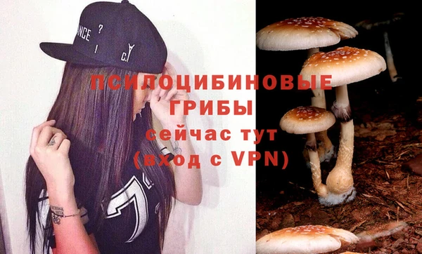 каннабис Белокуриха