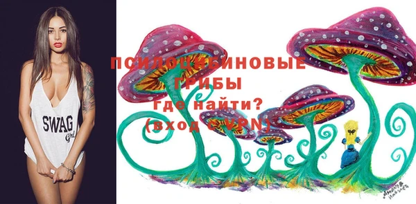твердый Беломорск